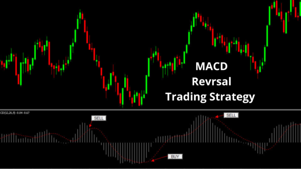 Macd trading robot - Image 3
