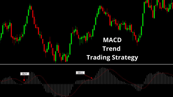 Macd trading robot - Image 4