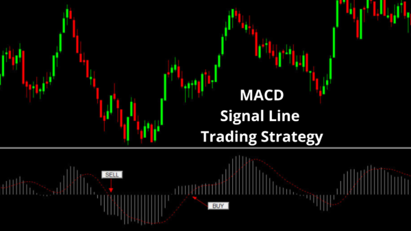 Macd trading robot - Image 5