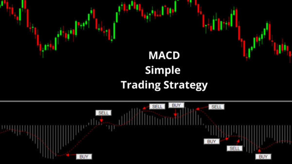 Macd trading robot - Image 6